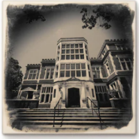 Cityscape Tile Bexley Jeffrey Mansion