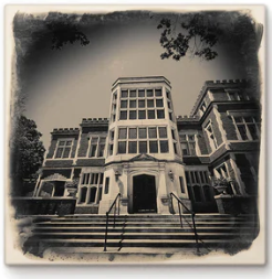 Cityscape Tile Bexley Jeffrey Mansion
