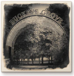Cityscape Tile Columbus Buckeye Grove
